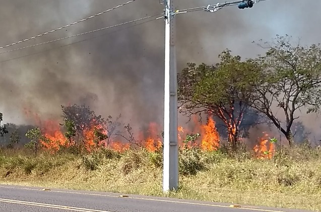 As causa não foram determinadas, mas na área havia lixo e entulhos. Foto: 5º GBM.
