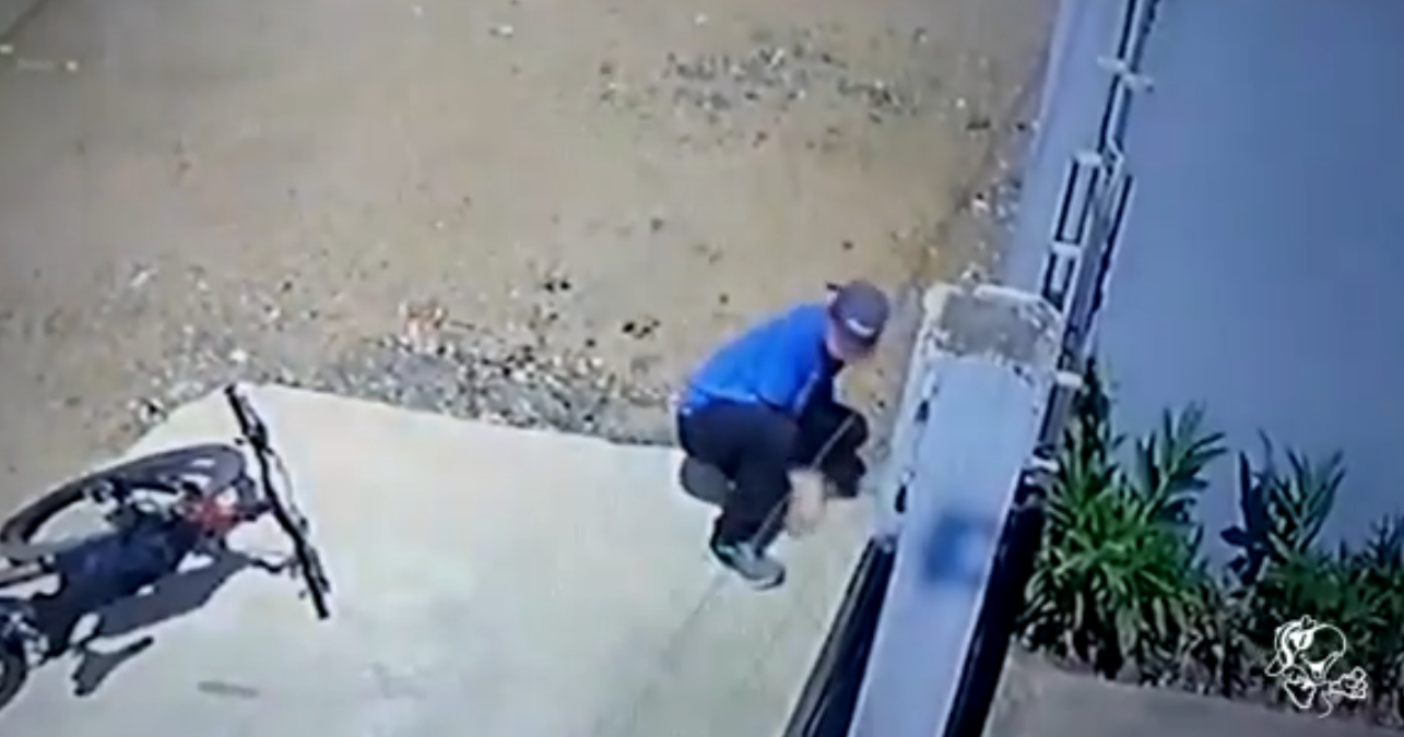O suspeito ainda não identificado foi flagrado furtando o pet. Foto: Reprodução