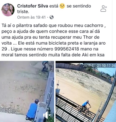 Nas redes sociais, o apelo do proprietário 'viralizou'. Foto: Facebook/Reprodução