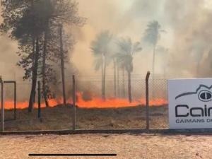 Fogo se aproximou das instalações da empresa (Foto/Divulgação: Caimasul)