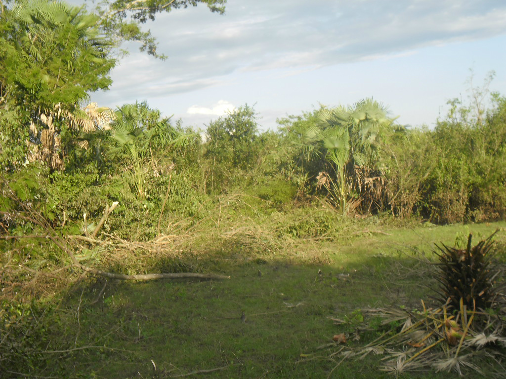 Foto: Assesoria de Imprensa