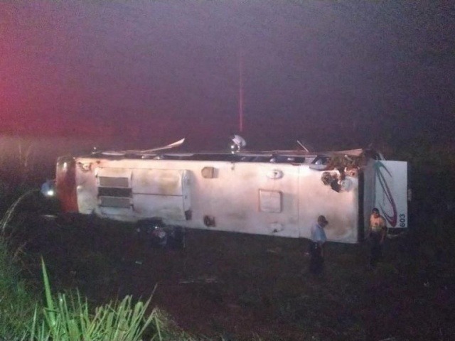 Ônibus caído em ribanceira na margem da rodovia (Foto: Adilson Domingos)