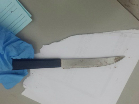 Faca foi encontrada por policiais militares em um terreno baldio (Foto: Polícia Militar/Divulgação)