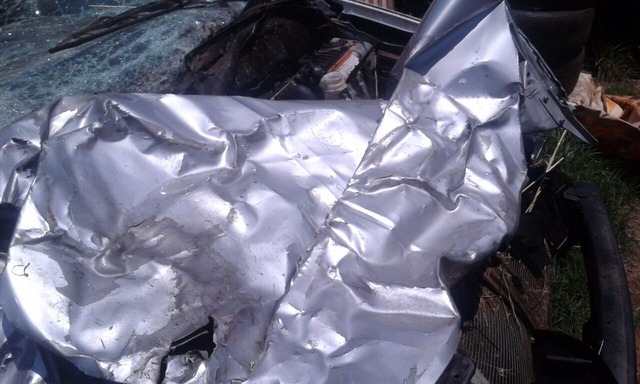 Três bois cruzaram a BR 158 e atingiram o automóvel (Foto: Cedida)