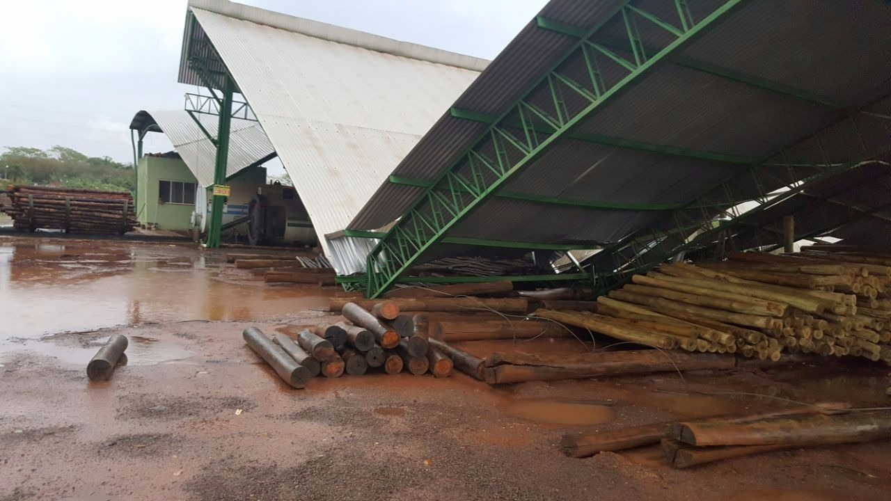 Foto: Divulgação / Internauta)
