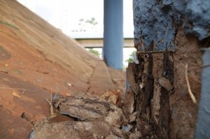 Pilar do viaduto da Afonso Pena com estrutura danificada (Foto: Kísie Ainoã)
