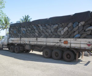 Carga foi apreendida e levada para delegacia de Miranda (Foto: Divulgação/PMA)