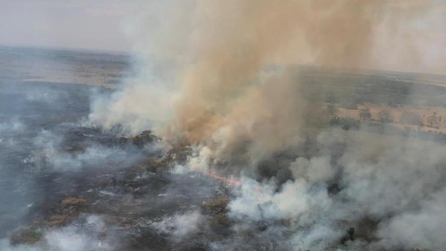 Incêndio em uma área de preservação permanente em Castilho, no interior de SP. Imagem: Divulgação/Defesa Civil