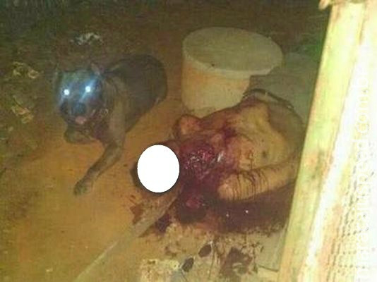 Créd.: Divulgação