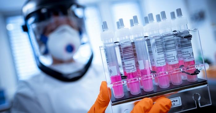 Foto: Ilustração/P. Steffen