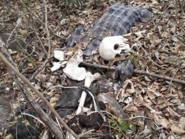 Uma das ossadas foi encontrada em Corumbá, em mata no alto de morro - Foto: Direto das Ruas