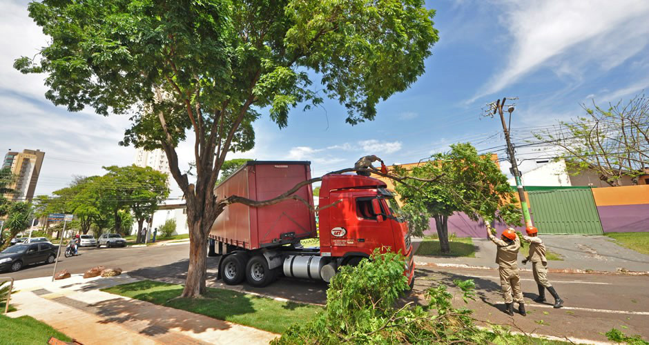 Bombeiros fizeram o trabalho para retirar galhos que atingiram veículo (Foto: Luciano Muta)