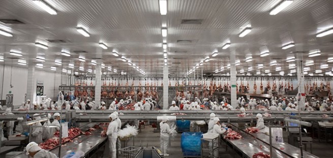 243 funcionários de frigoríficos de MS já testaram positivo para Covid-19. Foto: Divulgação