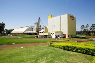 243 funcionários de frigoríficos de MS já testaram positivo para Covid-19. Foto: Divulgação