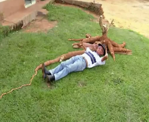 Foto: Reprodução TV TEM
