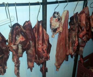 Foto: Correio do Estado