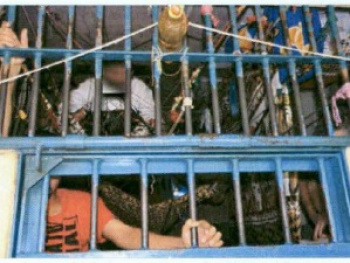 Celas da PED estão superlotadas. (Foto: Reprodução)