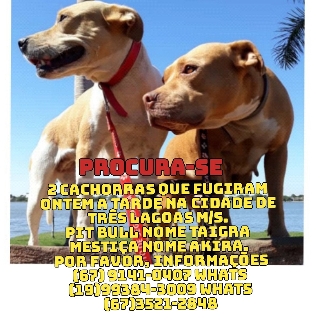 Foto: Arquivo Pessoal.