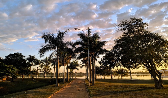 Foto: arquivo