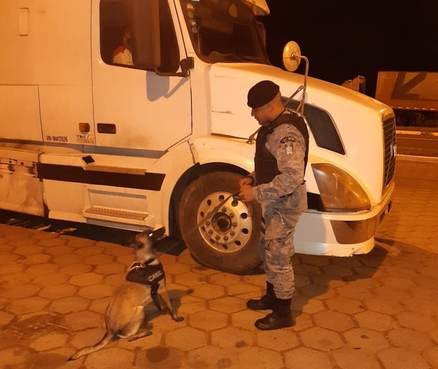 A fiscalização contou com o apoio de cães farejadores da PM e da PF. Foto: 2º BPM