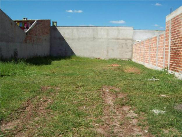 Foto Ilustrativa 