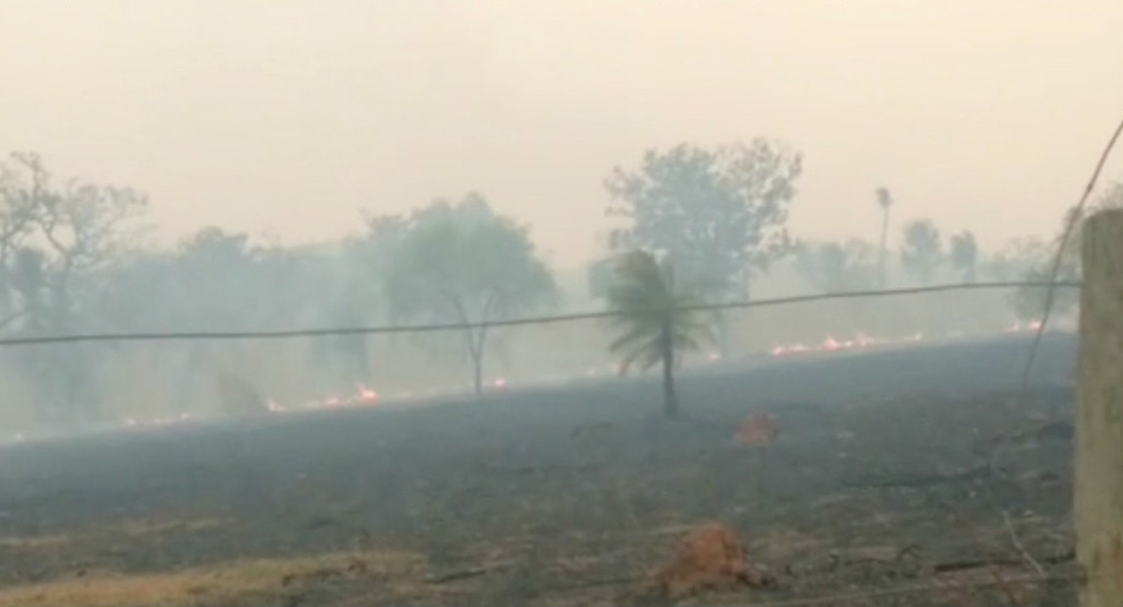 Várias regiões do estado, principalmente no Pantanal, estão sendo atingidas por incêndios — Foto: Reprodução/TV Morena