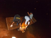 Créditos: MS Noticias News