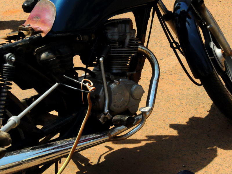 Cobra cipó subiu na moto e foi resgatada pelos bombeiros.Foto: Rádio Caçula