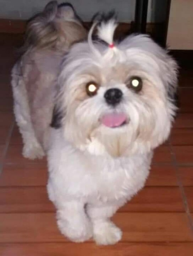 Foto: Arquivo pessoal.