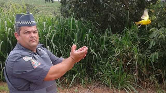 Policial solta uma das aves apreendidas (Foto: Polícia Ambiental)
