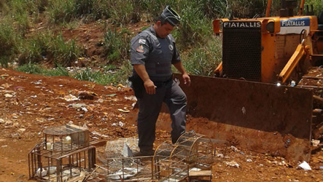 Policial destrói gaiolas apreendidas (Foto: Polícia Ambiental)
