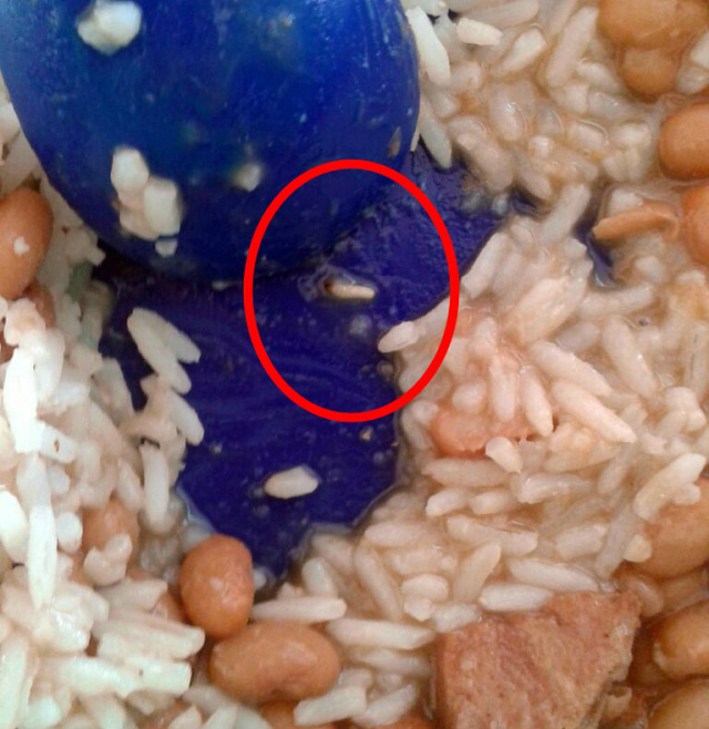 Corpo estranho com ponta preta difere dos grãos de arroz no prato. Foto: Divulgação.