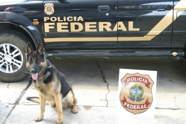 Foto: Assessoria de Imprensa