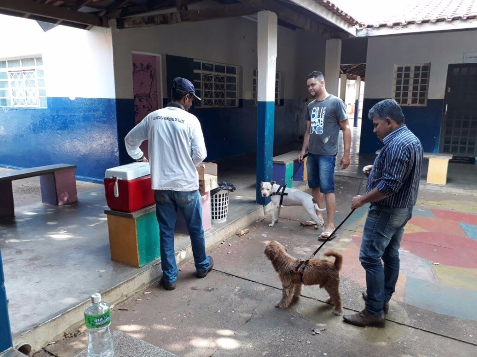 No sábado passado (11), nos postos de vacinação do Setor 3, as equipes de Vigilância e Saneamento da  imunizaram 1.060 cães e 152 gatos.