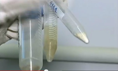 Foto: Reprodução/ Povo na TV