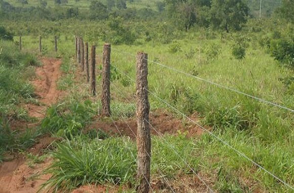 Foto: Água Clara News