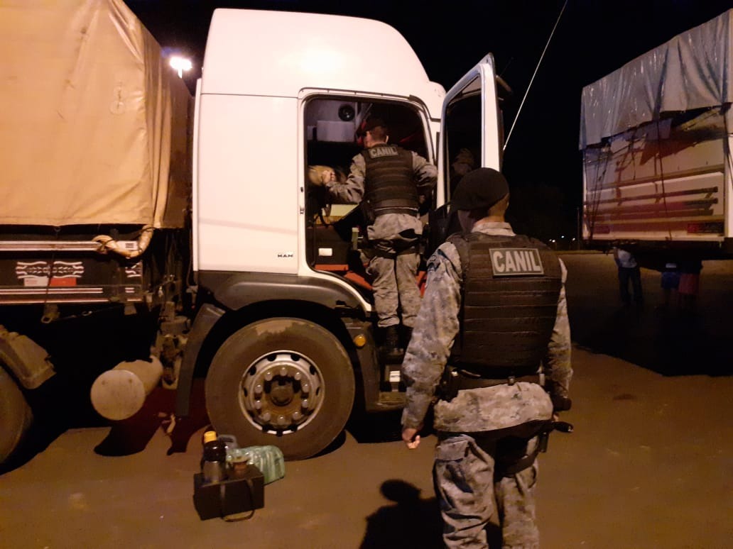 A cadela K9 Mara, de raça pastora alemão foi a responsável por localizar drogas, no interior de uma carreta neste sábado (6). Foto: PMMS/Rádio Caçula,