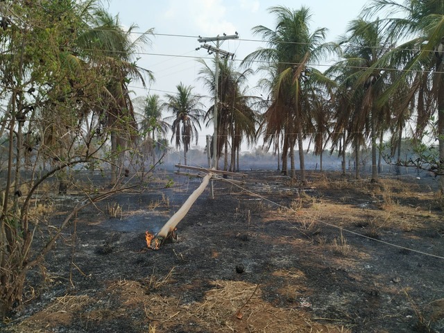 Incêndio atingiu ranchos e destruiu postes de energia. Foto: 5º GBM.