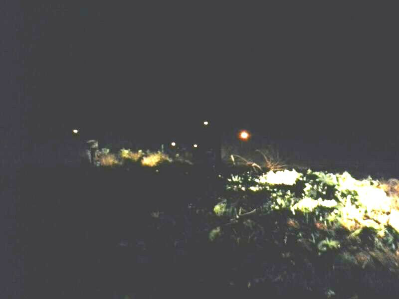 Outro ponto de falta de iluminação e o mato.