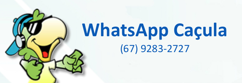 WhatsApp Caçula - Divulgação 