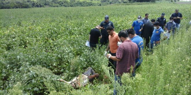 Corpo foi encontrado em plantação de soja - Foto: Porã News