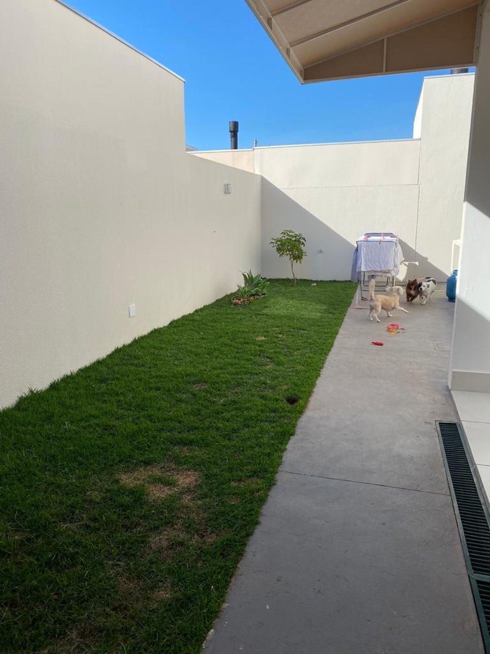 “Advogada procurou casa maior para comprar logo no início da pandemia em MS — Foto: Renata Camargo/Arquivo Pessoal”