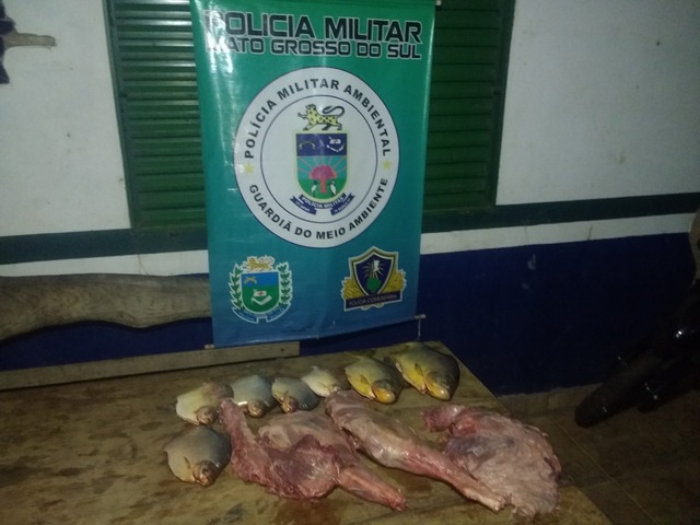 Peixes e carne de cateto apreendidos durante fiscalização. Foto; PMMS.