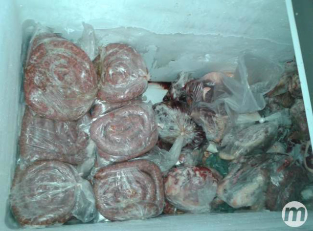 (Fotos: Divulgação/PC)