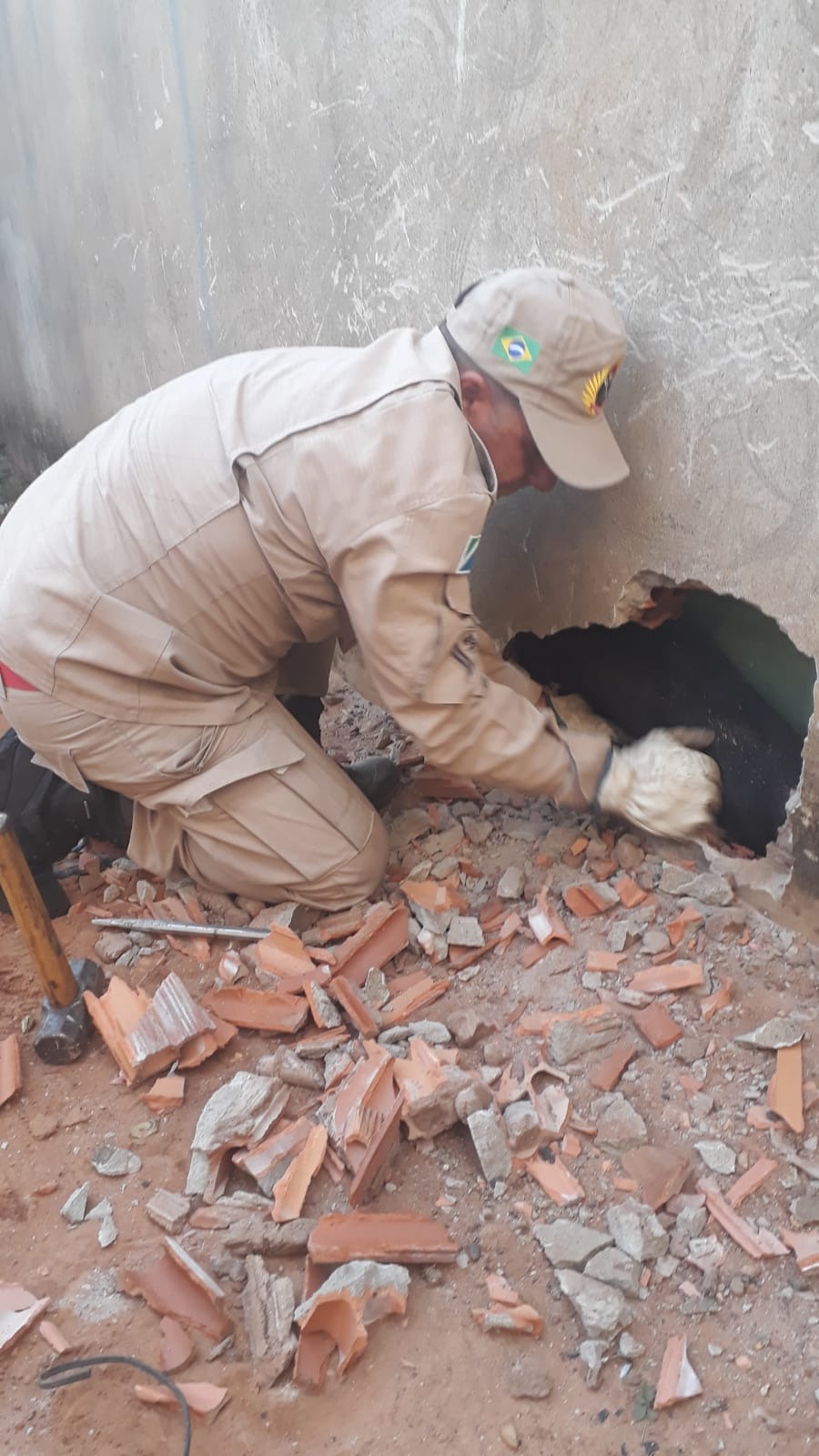 Após quebrar o muro, o cão foi resgatado pelo bombeiro militar. Foto: 5º GBM.