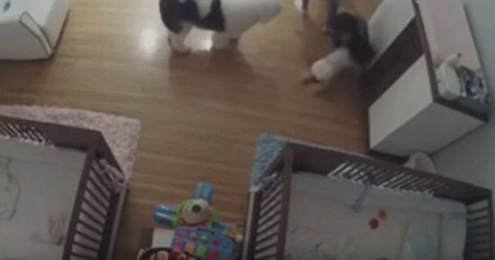 Menino de 9 anos evita queda do irmão de trocador nos EUA;( G1)