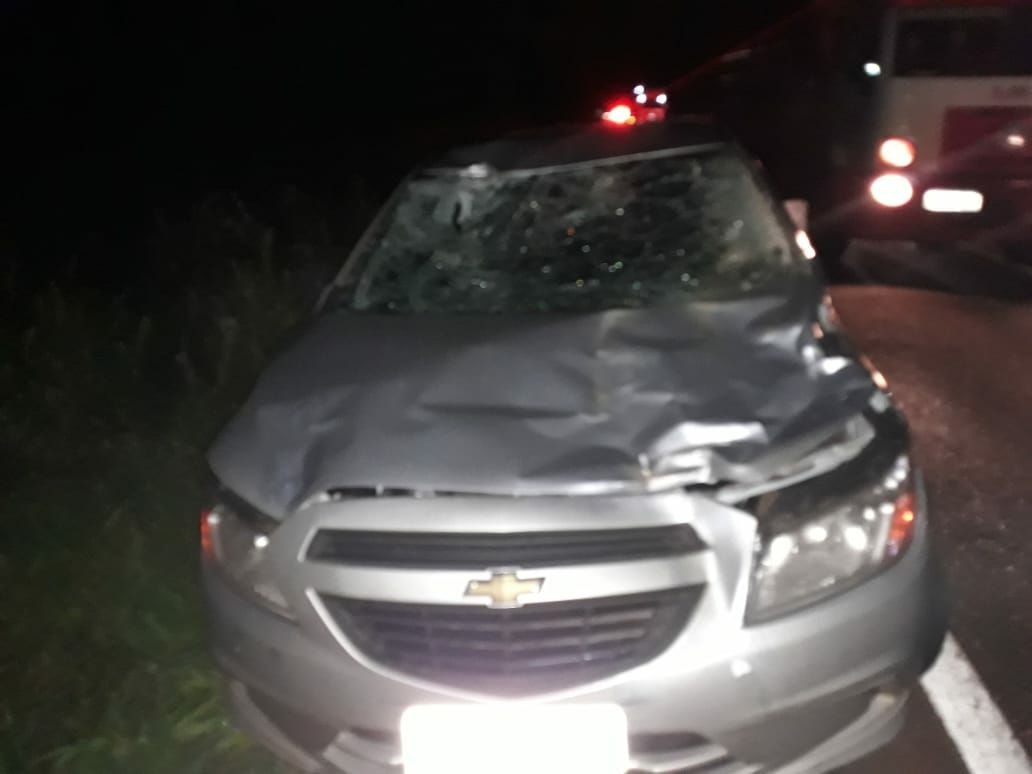 Foto: Divulgação Bombeiros 