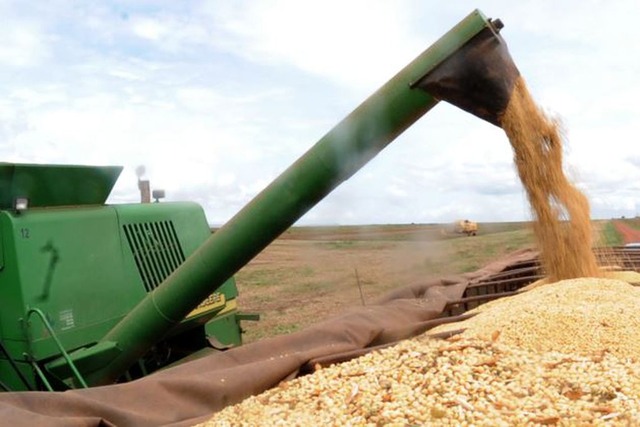 Contudo, o estudo aponta redução na produção da soja no período. - Foto: Divulgação Agência Brasil