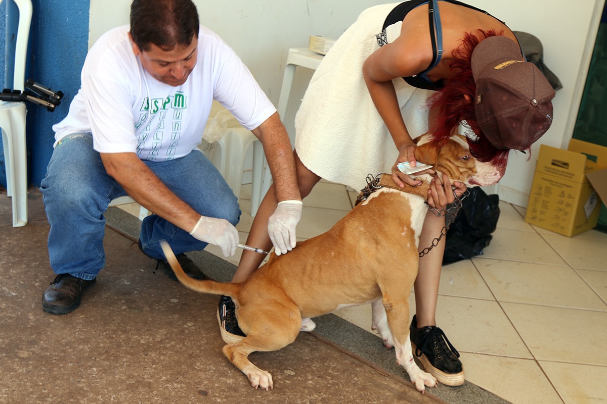 Na soma total dos 28 locais de vacinação, foram imunizados 8.944 cães e 1.701 gatos, no sábado (28)