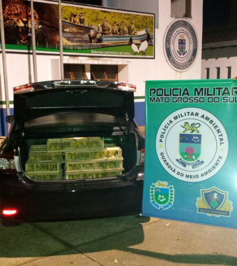 Foto: Rádio Caçula